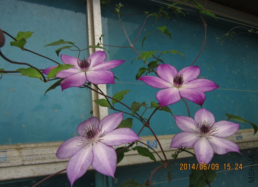 QQͼƬ20140609165125.jpg