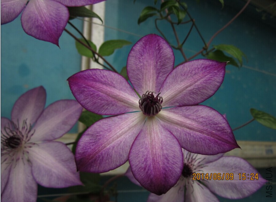 QQͼƬ20140609165128.jpg