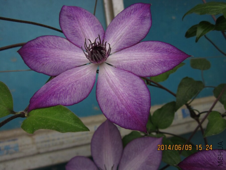 QQͼƬ20140609165131.jpg