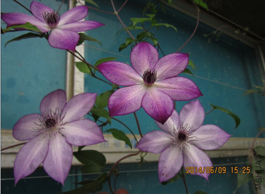 QQͼƬ20140609165134.jpg
