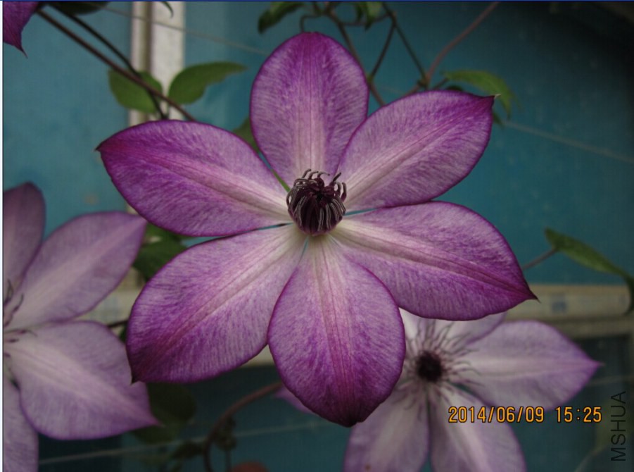 QQͼƬ20140609165138.jpg
