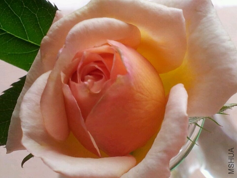 QQͼƬ20140609171850.jpg