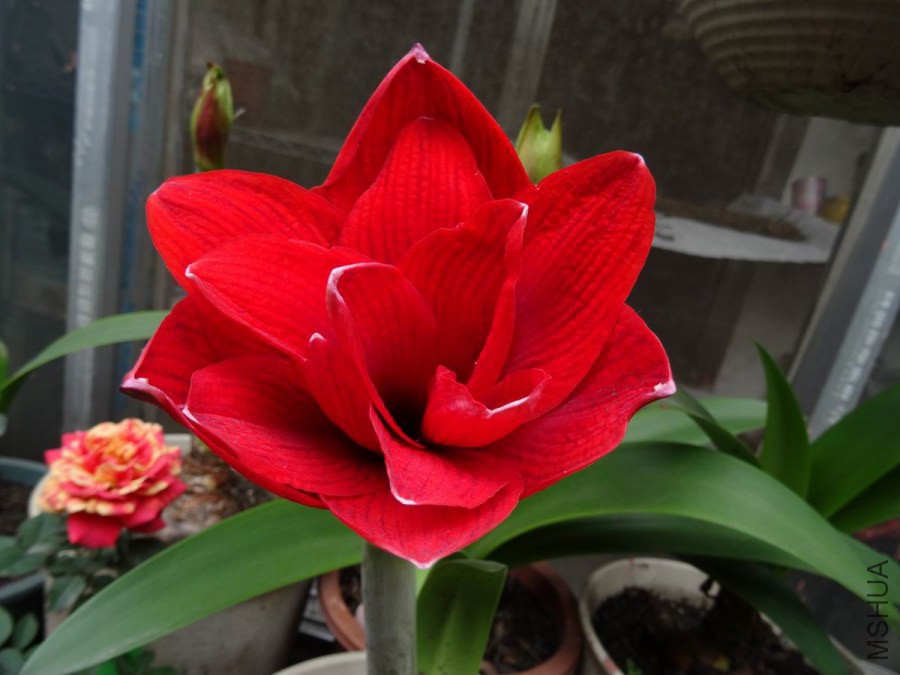 DSC01093.JPG
