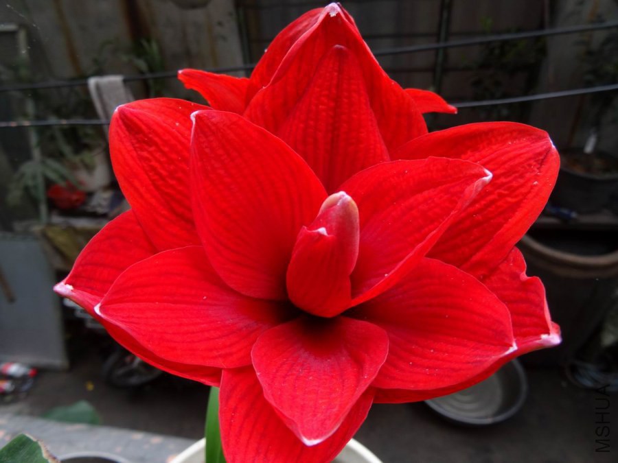 DSC01106.JPG
