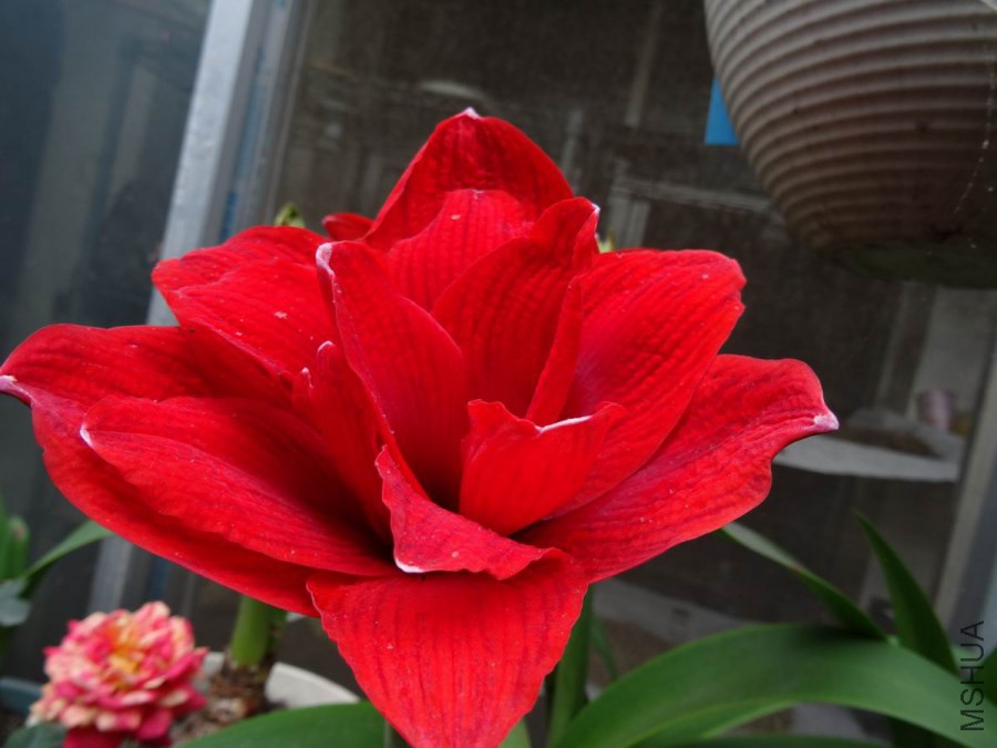 DSC01108.JPG