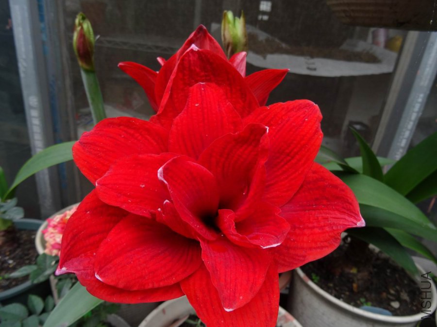 DSC01109.JPG