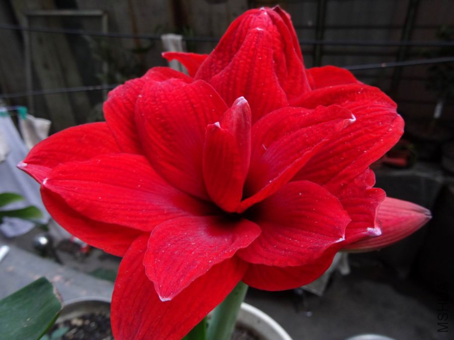 DSC01122.JPG