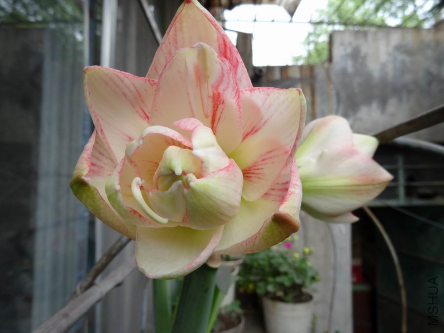 DSC01149.JPG