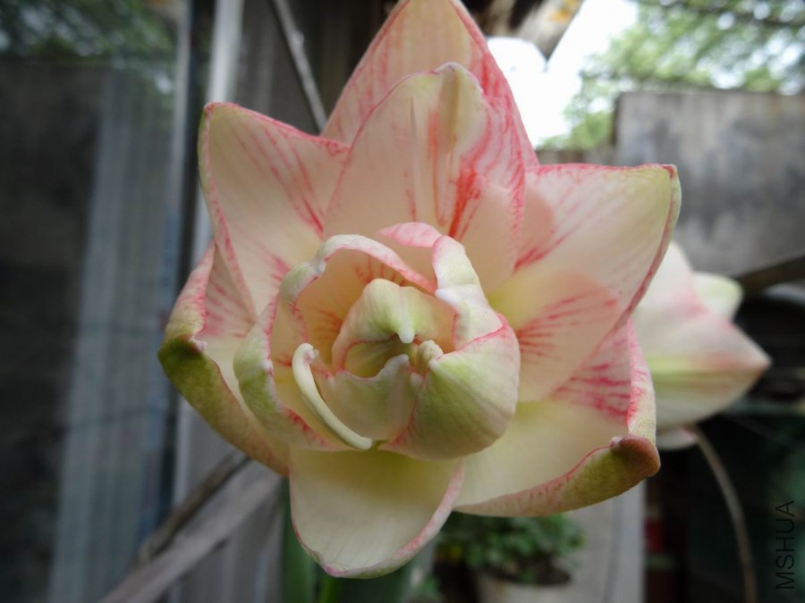 DSC01151.JPG