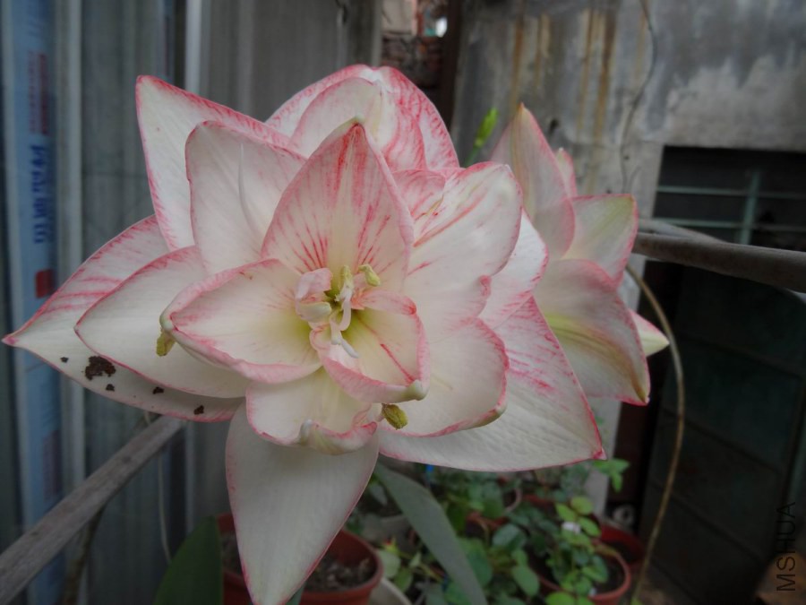 DSC01167.JPG