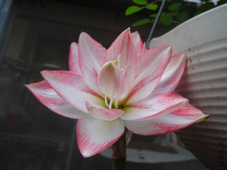 DSC01214.JPG