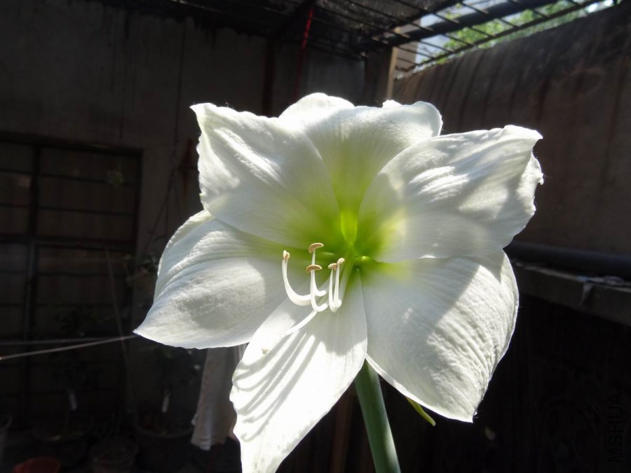 DSC01232.JPG