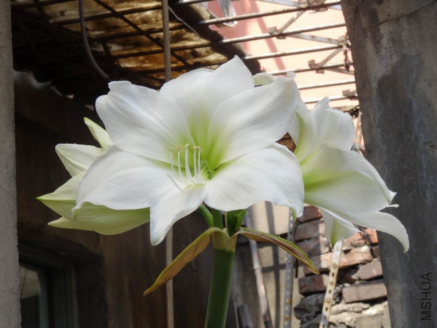 DSC01240.JPG