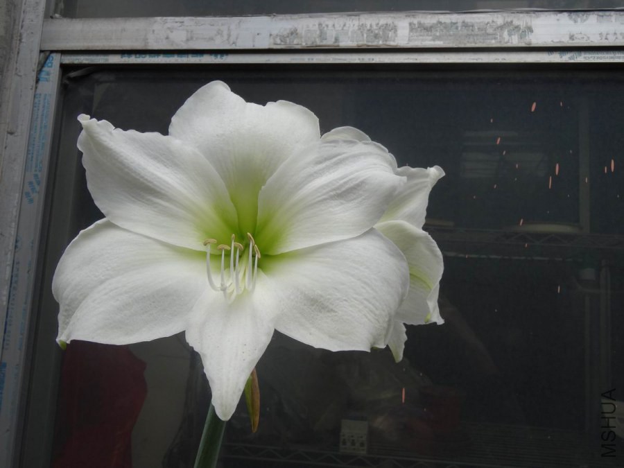 DSC01254.JPG