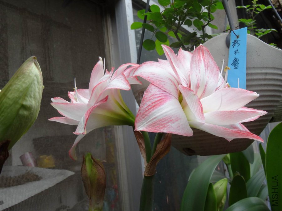 DSC01256.JPG