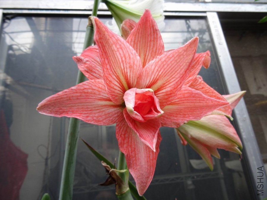 DSC01271.JPG