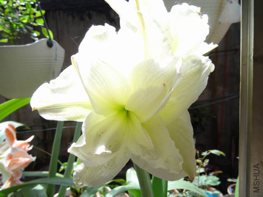 DSC01277.JPG