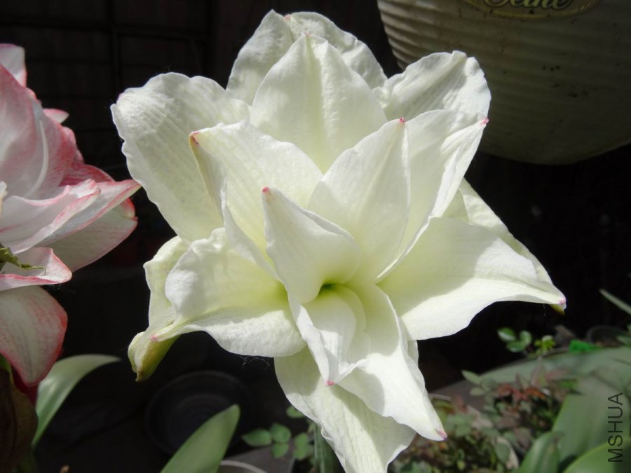 DSC01279.JPG