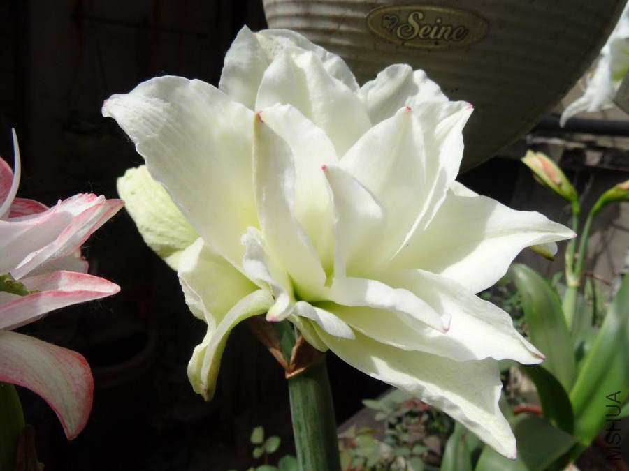 DSC01280.JPG