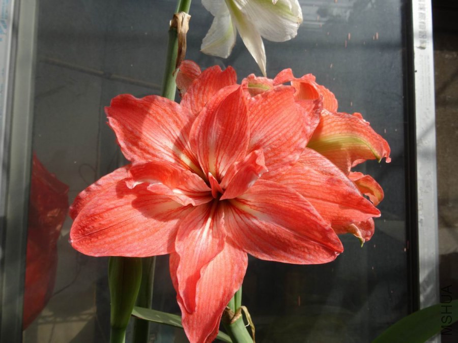 DSC01313.JPG