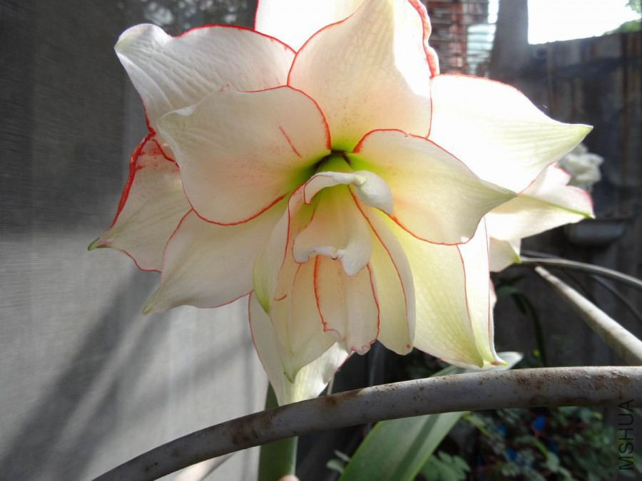 DSC01315.JPG