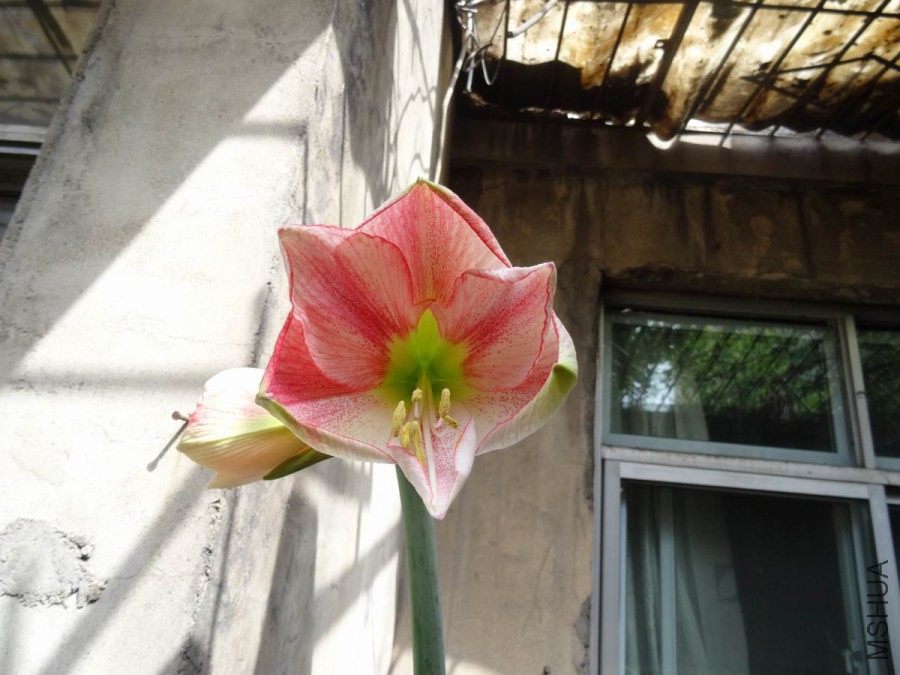 DSC01317.JPG