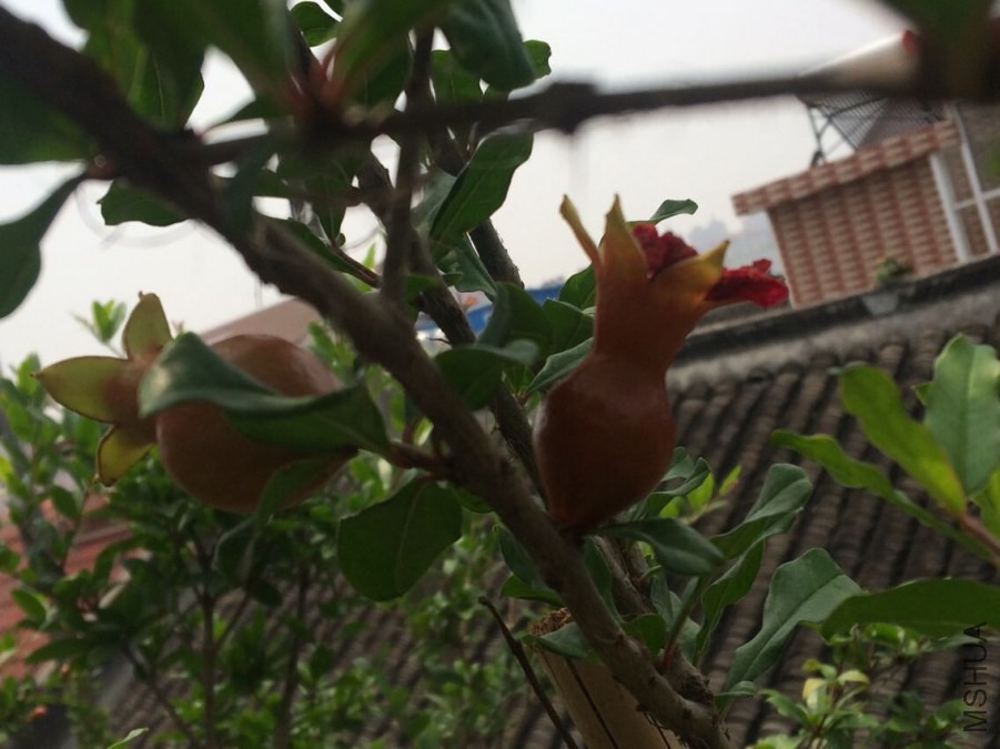 QQͼƬ20140609203801.jpg