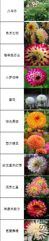 QQ��ͼ20140610004816.jpg