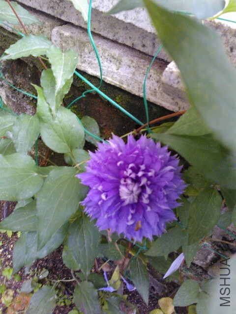 QQͼƬ20140528085035.jpg