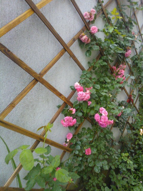QQͼƬ20140529121349.jpg