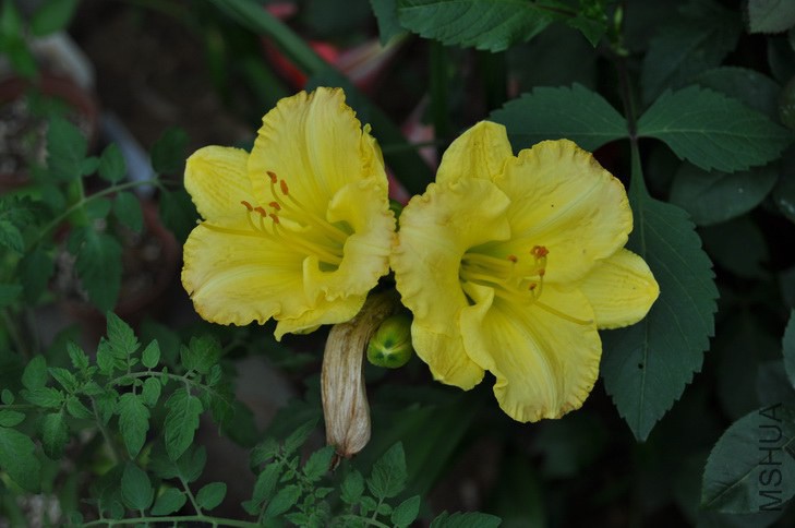 DSC_8722.JPG