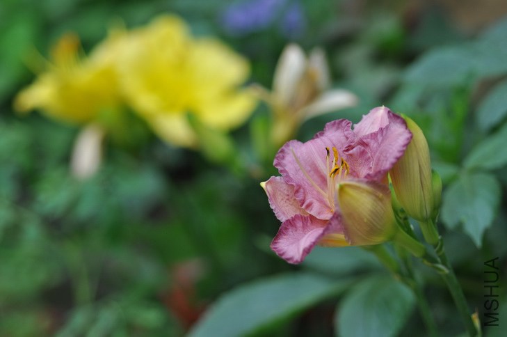 DSC_8723.JPG