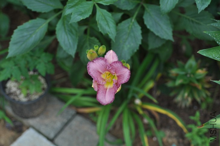 DSC_8724.JPG