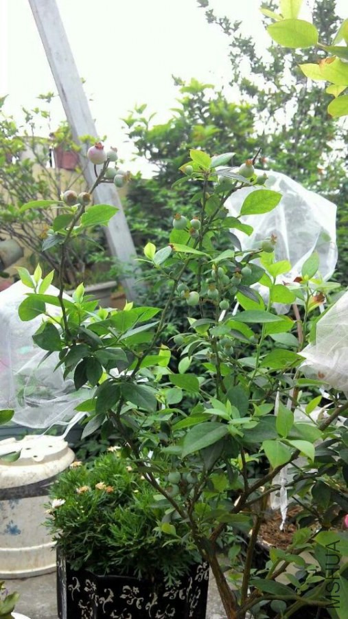 QQͼƬ20140610161151.jpg