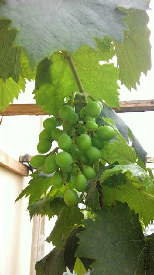 QQͼƬ20140610161212.jpg