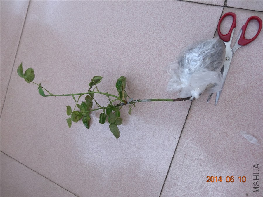 DSC01858_����.jpg