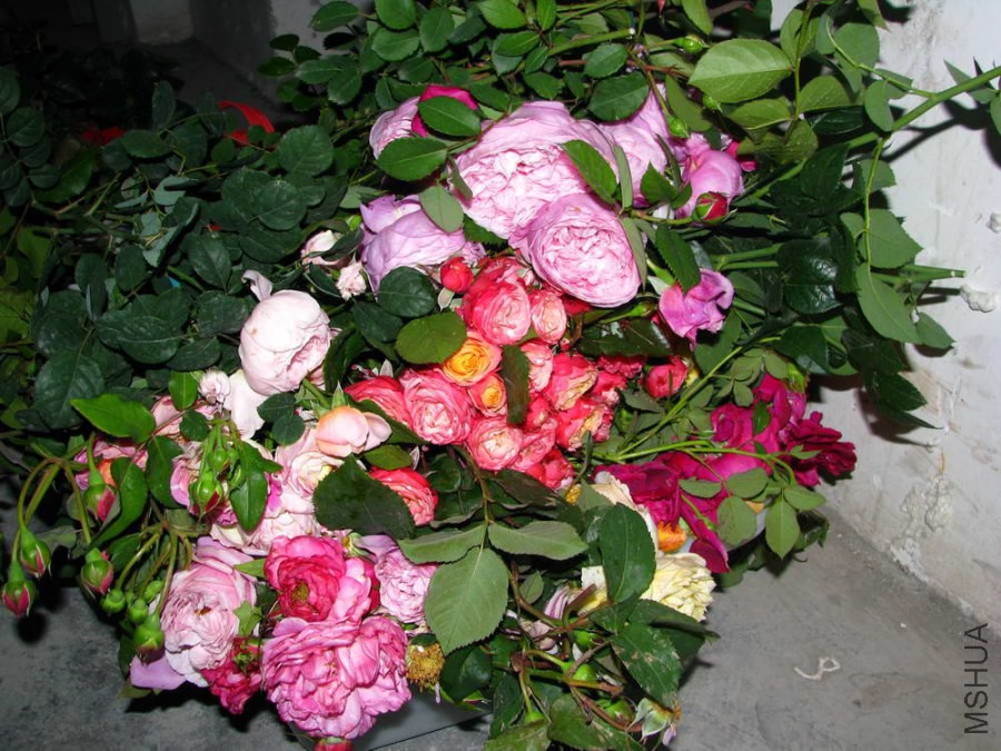IMG_0228.JPG