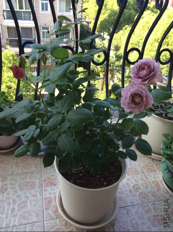 QQͼƬ20140524193551.jpg