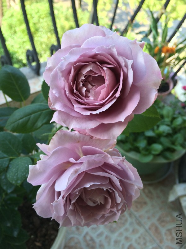 QQͼƬ20140524193518.jpg