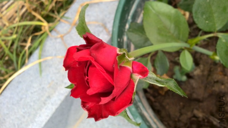 081531vxnsqs8bqbkhqhx8.jpg