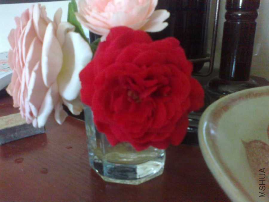 20140611480.jpg