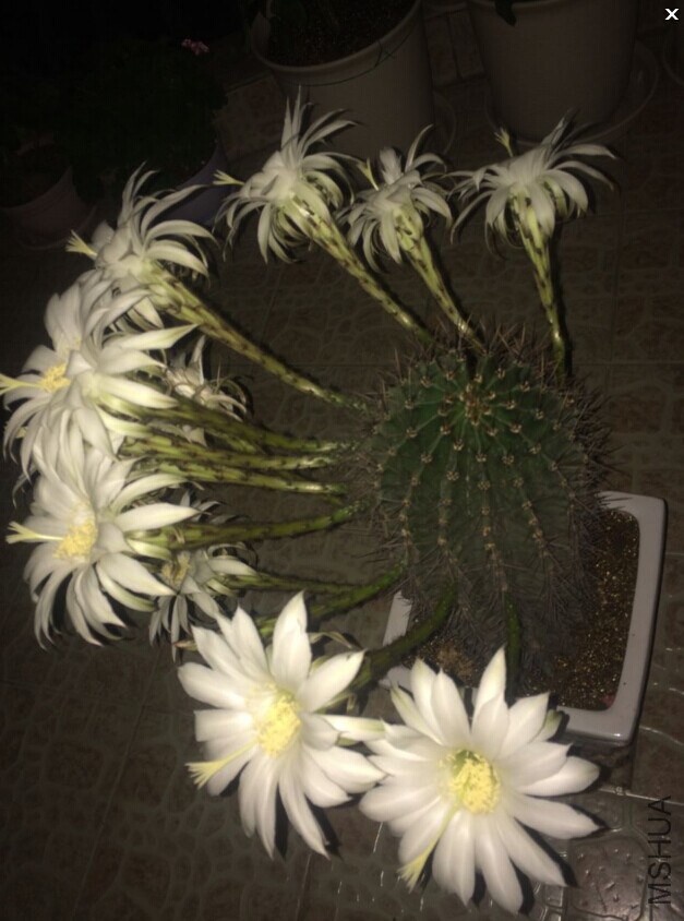 QQͼƬ20140611131544.jpg