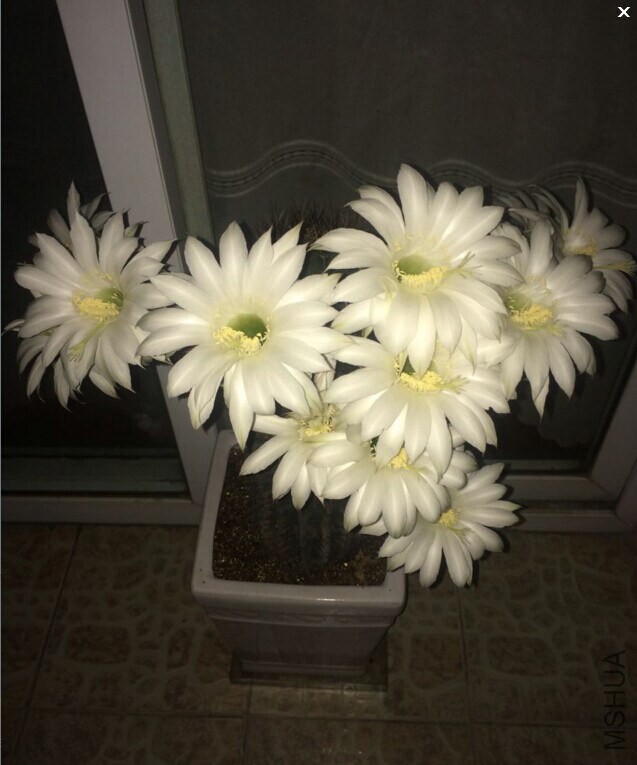QQͼƬ20140611131515.jpg
