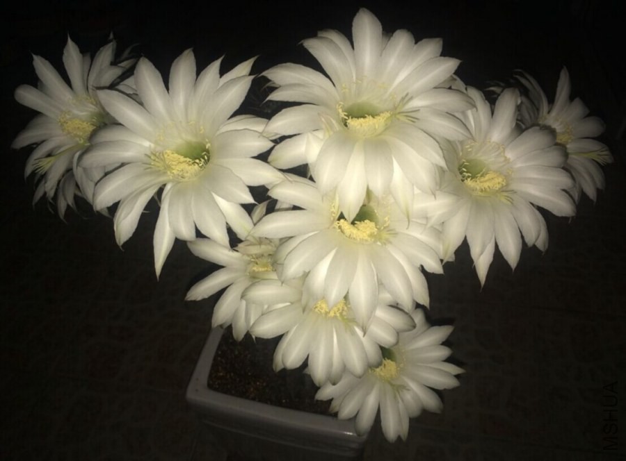 QQͼƬ20140611131439.jpg