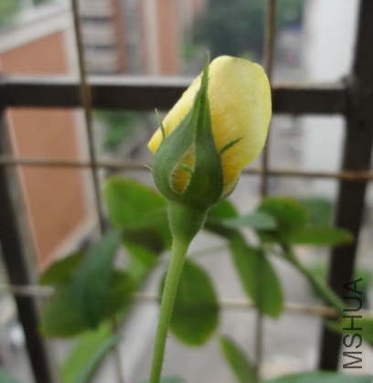 QQ��ͼ20140611133048.jpg