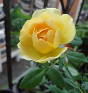QQ��ͼ20140611133144.jpg