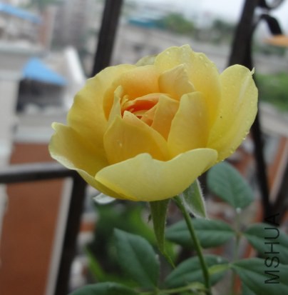 QQ��ͼ20140611133155.jpg