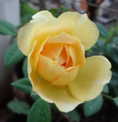 QQ��ͼ20140611133130.jpg