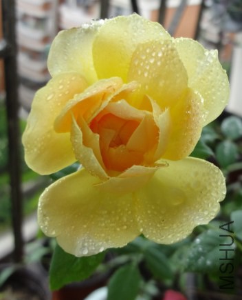 QQ��ͼ20140611133211.jpg