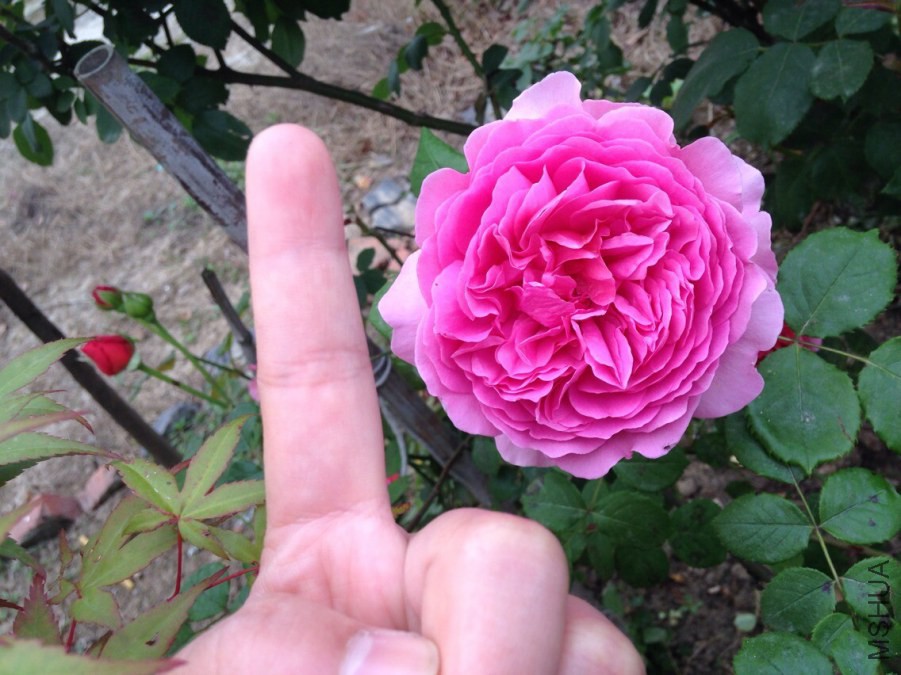 QQͼƬ20140612084715.jpg